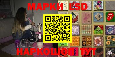 спайс Кингисепп