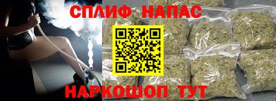 спайс Кингисепп