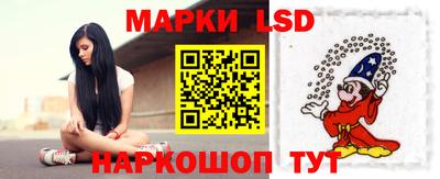 спайс Кингисепп