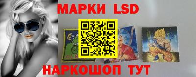 спайс Кингисепп