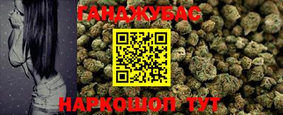 спайс Кингисепп