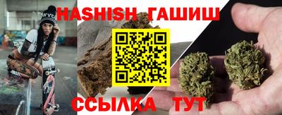 спайс Кингисепп