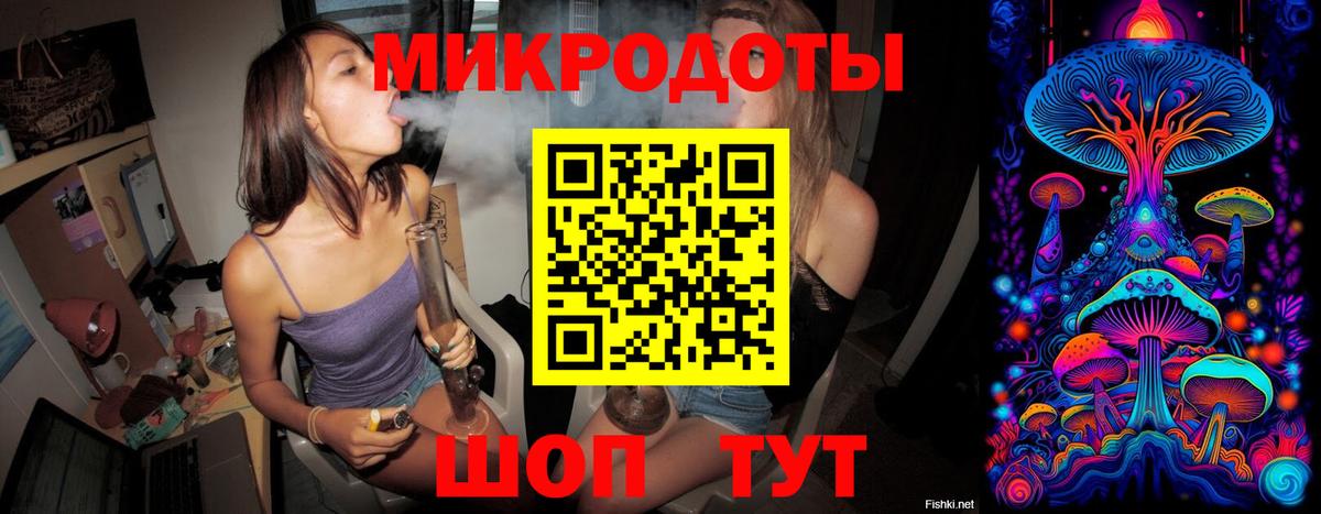 Псилоцибиновые грибы мицелий Красногорск